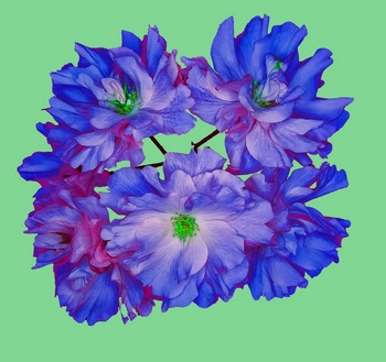 F 055E
